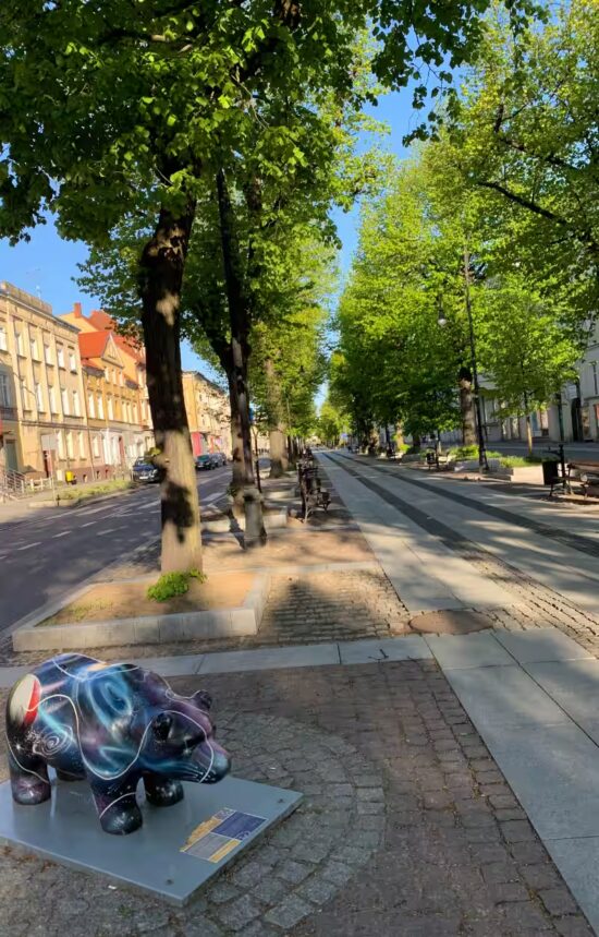 Słupskie niedźwiadki (2)